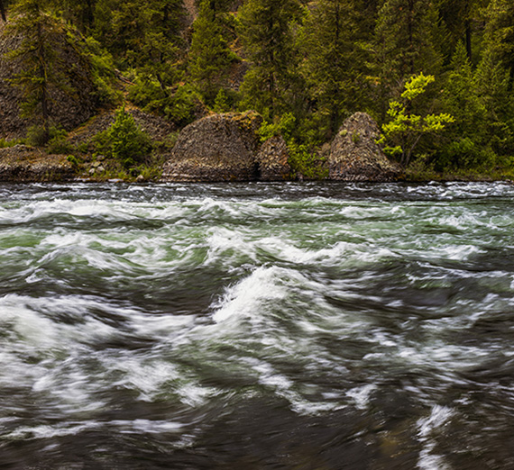 ジュディス・メイオットは5月11日の大学院卒業式で講演した。（GU写真）